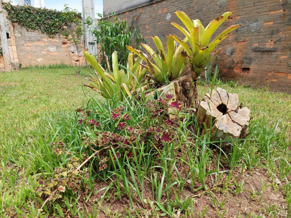 A Casinha Vila Balneário Camboriú Exterior foto